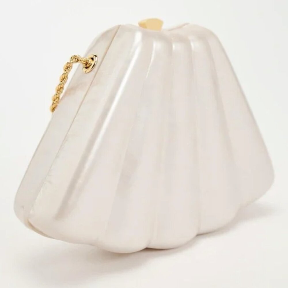NWT Zara Hard Clam Shell Clutch